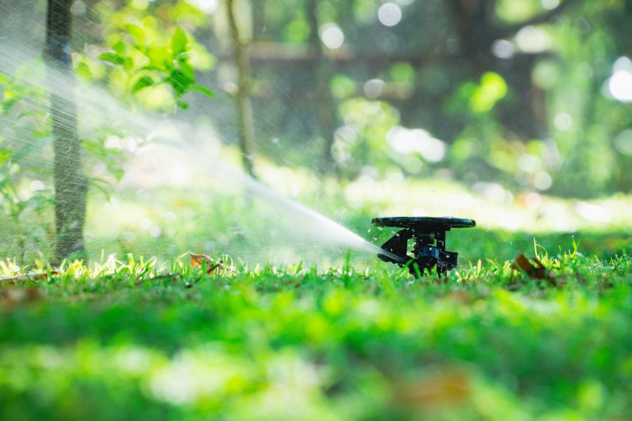 Sprinkler head spraying water on a lawn